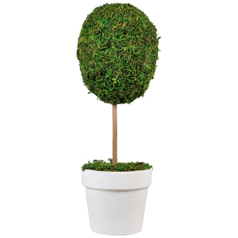 Northlight Seasonal Green Reindeer Moss Ball Potted Artificial Spring Topiary Tree