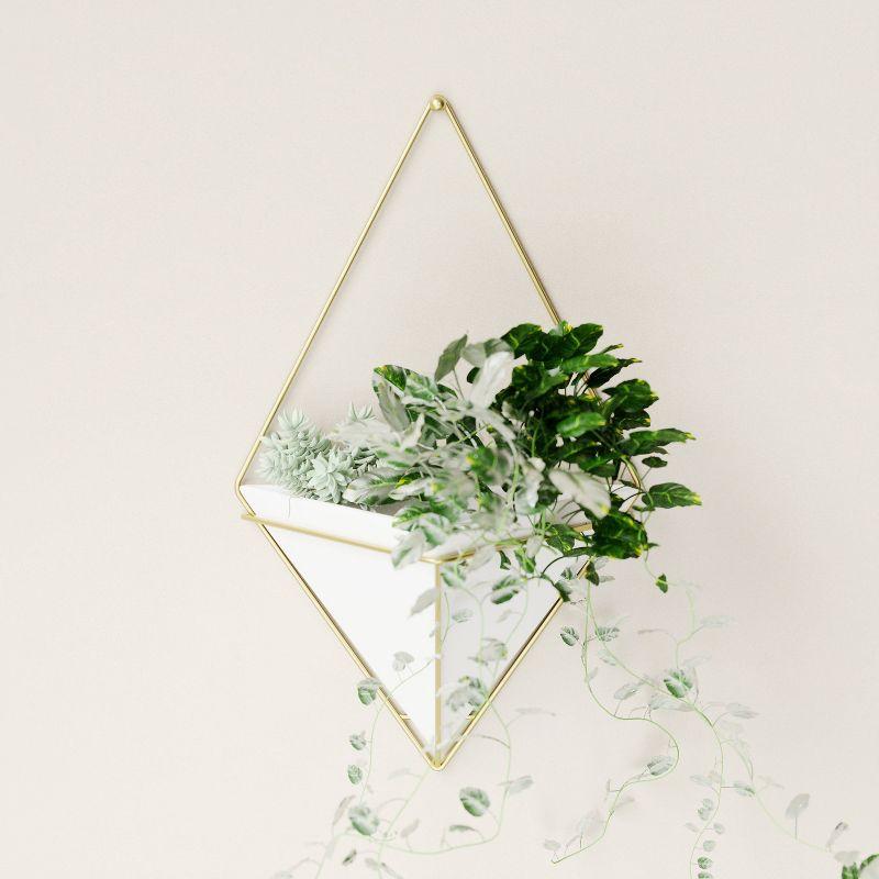 White and Brass Geometric Wall Planter Decor