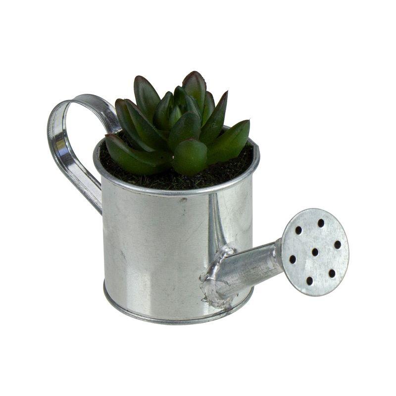 Northlight 4" X Pachyveria Succulent in Water Can Artificial Potted Plant - Green/Silver