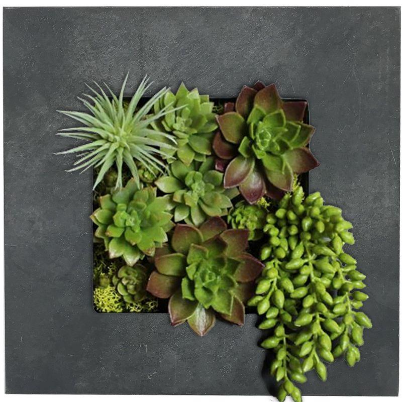 Modern Home Living Wall Galvanized Steel/Zinc Succulent Planter (Black Zinc, 4 Pocket)