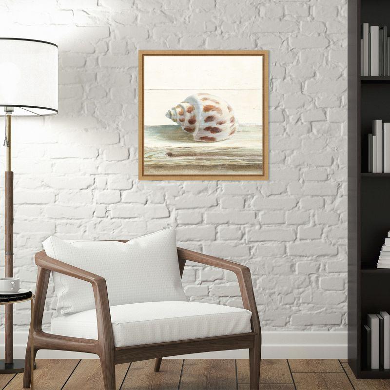 Amanti Art Driftwood Shell II by Danhui Nai Canvas Wall Art Print Framed 16 x 16-in.