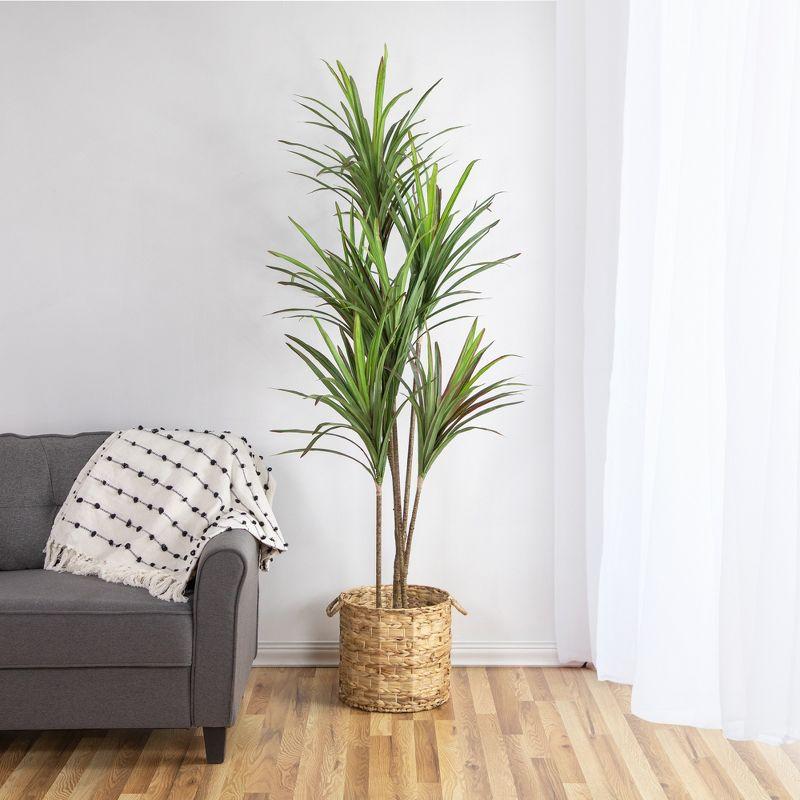 Northlight Seasonal 5.5' Green Artificial Potted Dracaena Marginata Plant