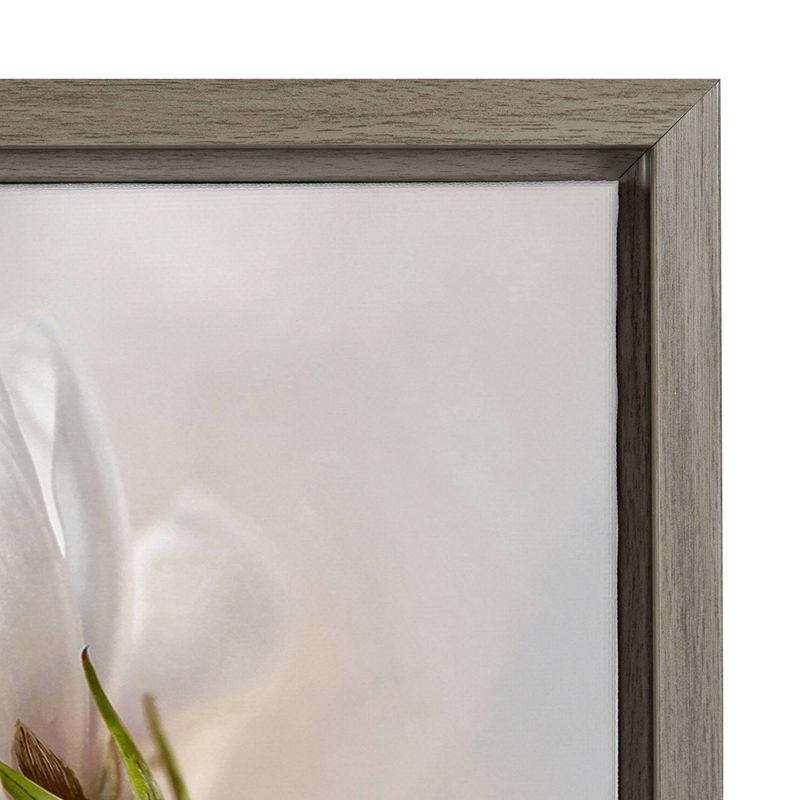 16" x 23" Heavenly Cosmos Framed Canvas Wall Art - Amanti Art: Mandy Disher Botanical Print