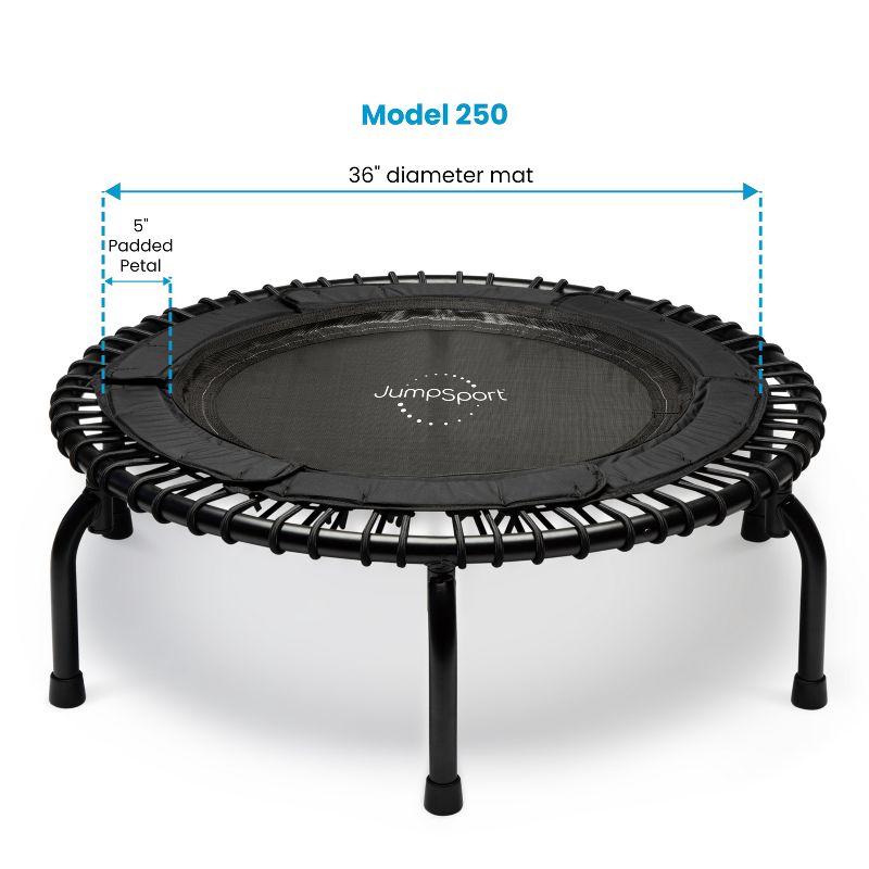 JumpSport 250 Workout Rebounder for Adults, 39" Mini Fitness Trampoline