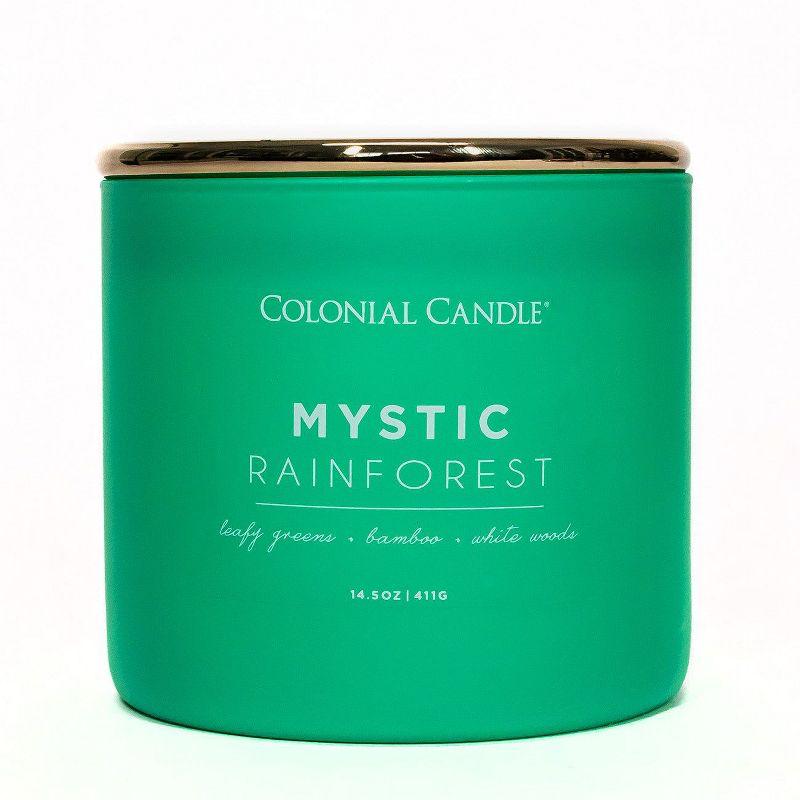 Pop of Color 3-Wick Mystic Rainforests Scented Jar Candle 14.5oz - Colonial Candle