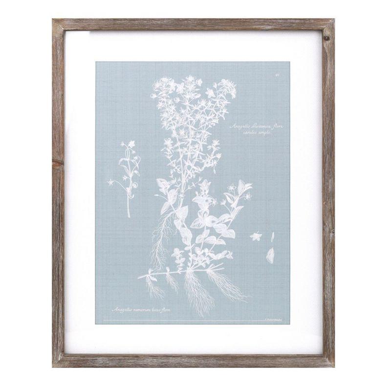 Melrose Framed Encyclopedia Floral Outline (Set of 4)