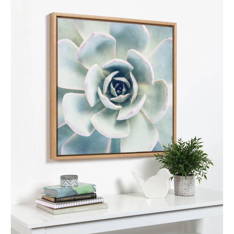 30" x 30" Sylvie Succulent 7 Framed Canvas by F2 Images Natural - Kate & Laurel All Things Decor: Wall Display, Botanical Digital Art