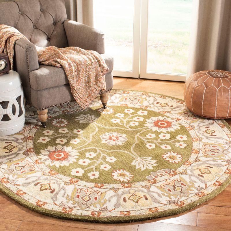 Anatolia AN562 Hand Tufted Indoor Area Rug - Moss/Ivory - 6' Round - Safavieh