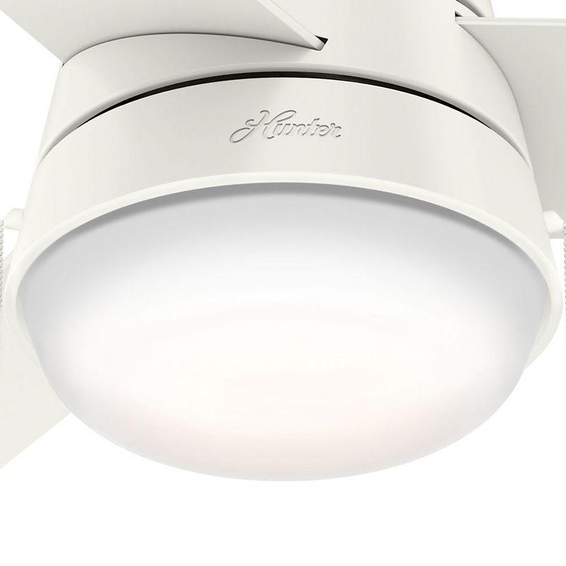 Aker 36" 3 - Blade Standard Ceiling Fan with Lights and Pull Chains