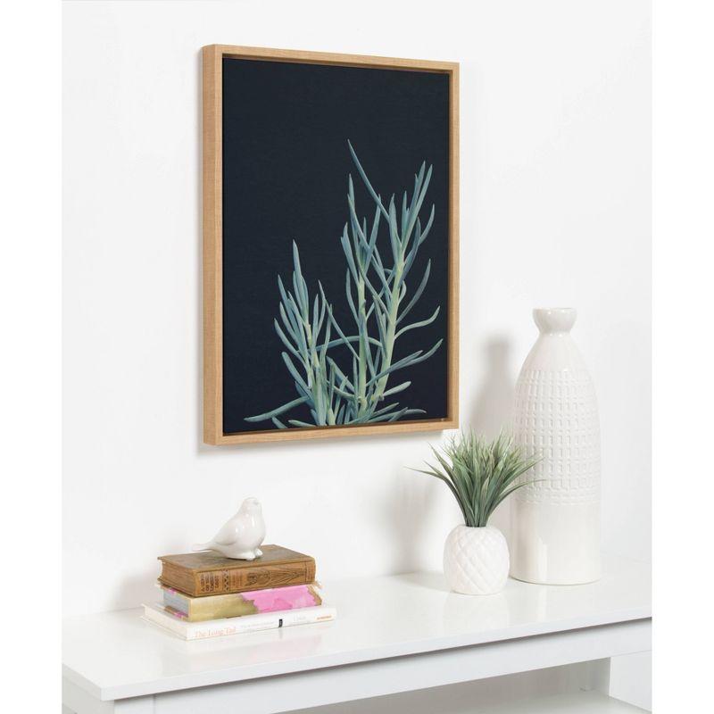 18" x 24" Sylvie Succulent 16 Framed Canvas by F2 Images Natural - Kate and Laurel