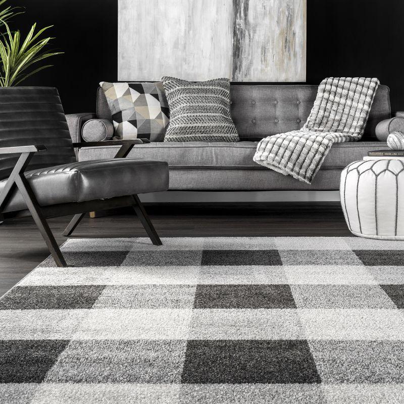 Nuloom Aisha Plaid 4x6 Indoor Area Rug for Living Room Bedroom Dining Room Kitchen, Grey/Ivory