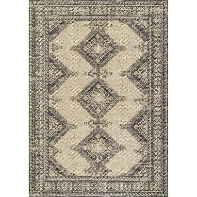 Alis Southwestern Rug