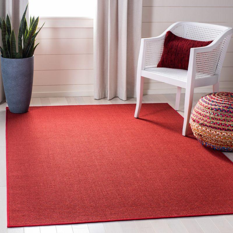 Martha Stewart 60% Sisal And 40% Jute Solid Color Rug