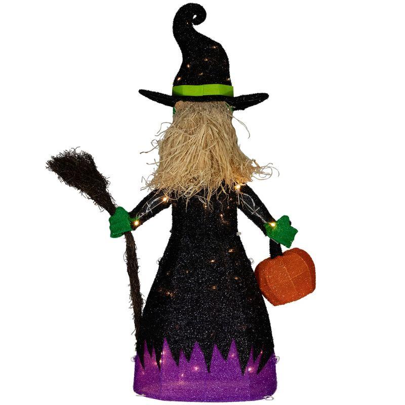 Northlight LED Lighted Witch with Broom Outdoor Halloween Decoration - 39"  - Clear Lights