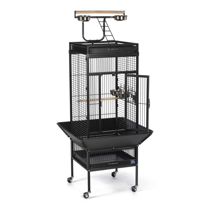 Prevue Pet Products Wrought Iron Select Bird Cage Black Hammerstone 3151BLK