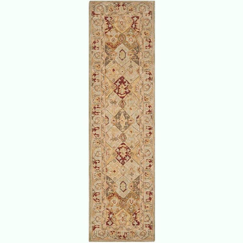 Anatolia AN530 Hand Tufted Area Rug  - Safavieh