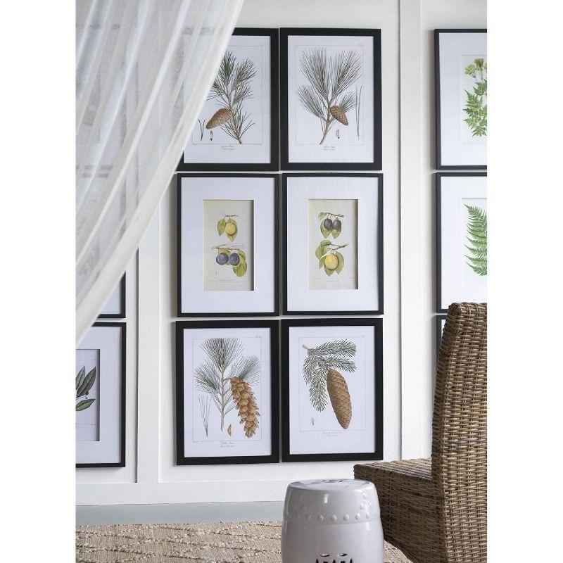 Set of 2 Smithsonian Fruit Framed Wall Arts - A&B Home: Transitional Decor, Vertical Orientation, Includes Mounting Hardware