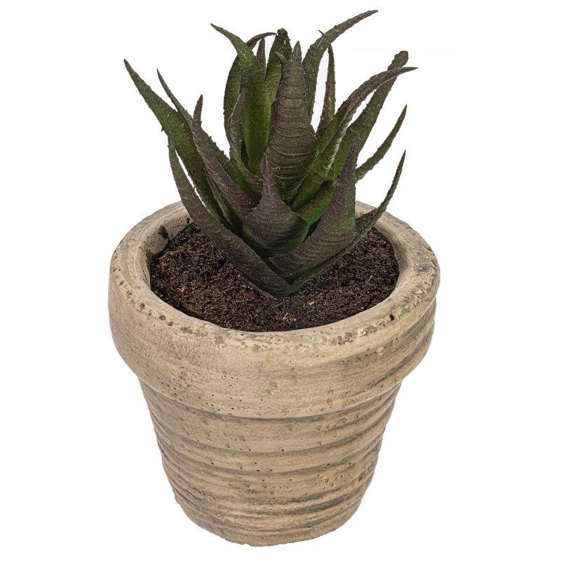 Vickerman 4" Artificial Assorted Potted Succulents, Set of 6. In a 2"Lx2"Wx2"H base.