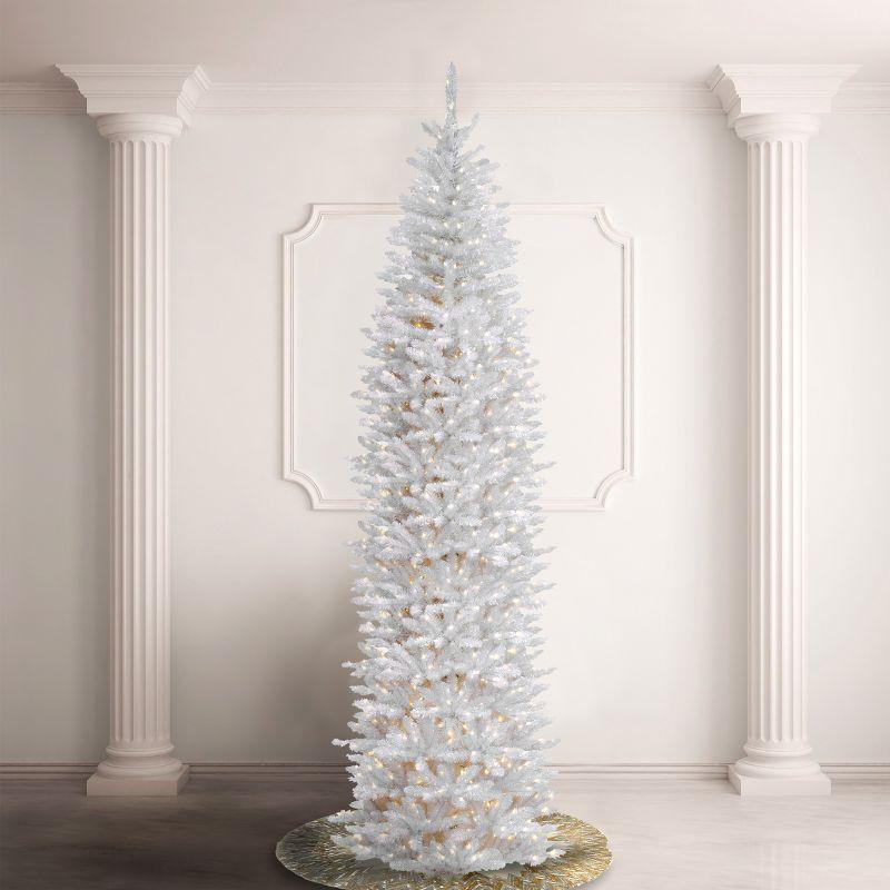 Winter Wonderland White Fir 12' Pre-Lit Outdoor Christmas Tree