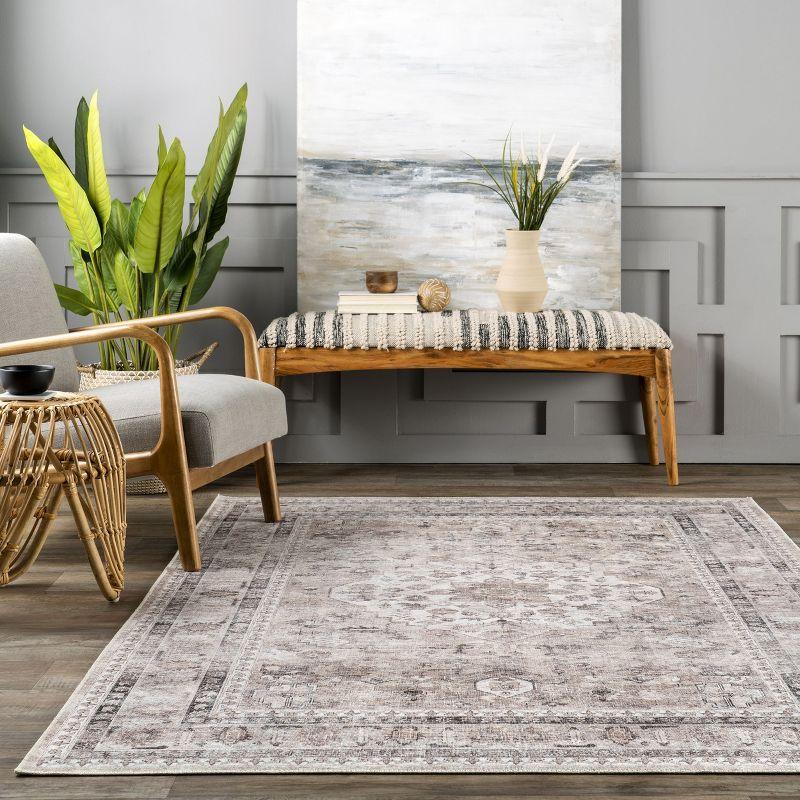 Nuloom Davi Faded Spill Proof Treated Pet Friendly Premium Machine Washable Area Rug, 9' x 12', Stone