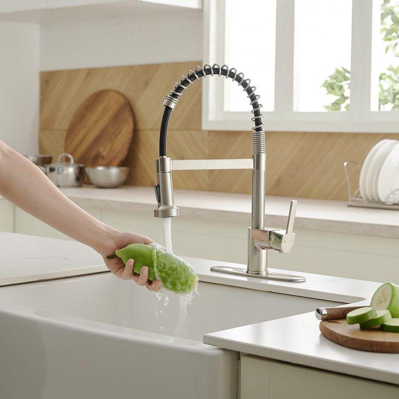 Pull Down Single Handle Kitchen Faucet with Accessories