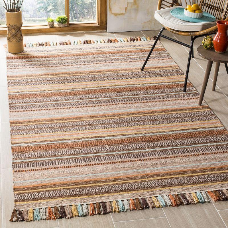 Montauk MTK901 Hand Woven Indoor Area Rug - Brown/Multi - 5'x8' - Safavieh.