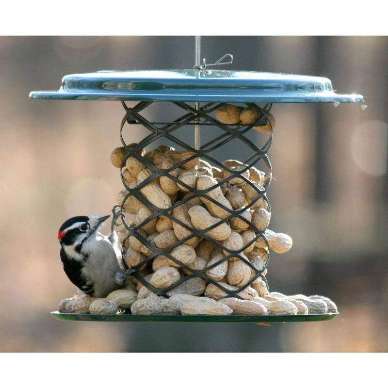Birds Choice Metal Hanging Tube Bird Feeder