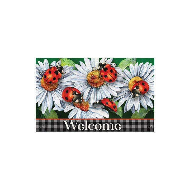 Briarwood Lane Spring Doormat 30x18 Indoor Outdoor Ladybugs and Daisies For Spring Doormat