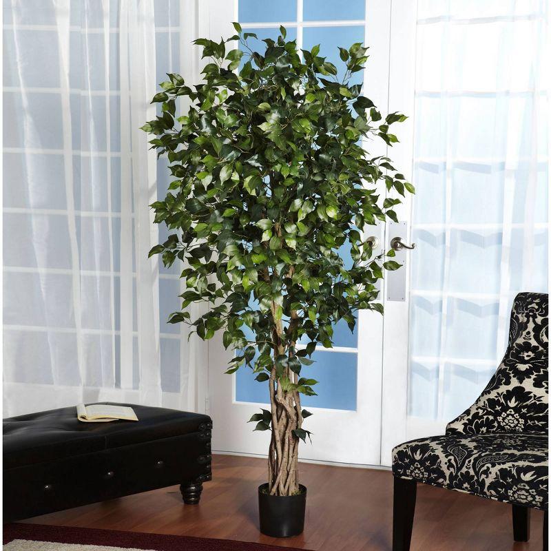 6ft Green Silk Ficus Tree with Twisting Trunks