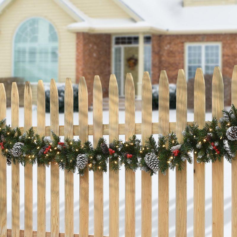 National Tree Company 9ft. Frosted Berry Garland with Clear Lights