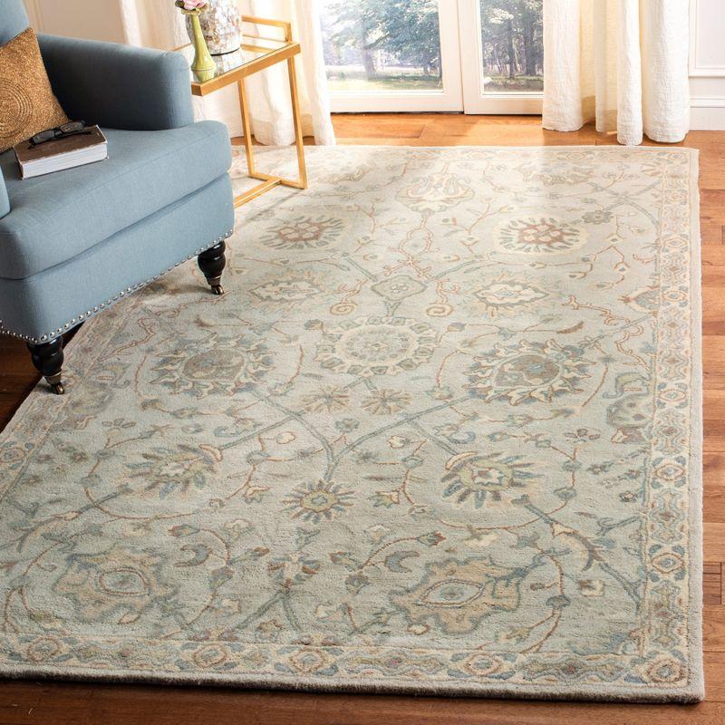 Heritage HG824 Hand Tufted Area Rug  - Safavieh