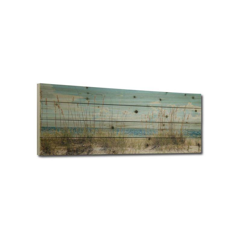 "Beach Sand Dunes Long" Photograph Print on Planked Wood Wall Art