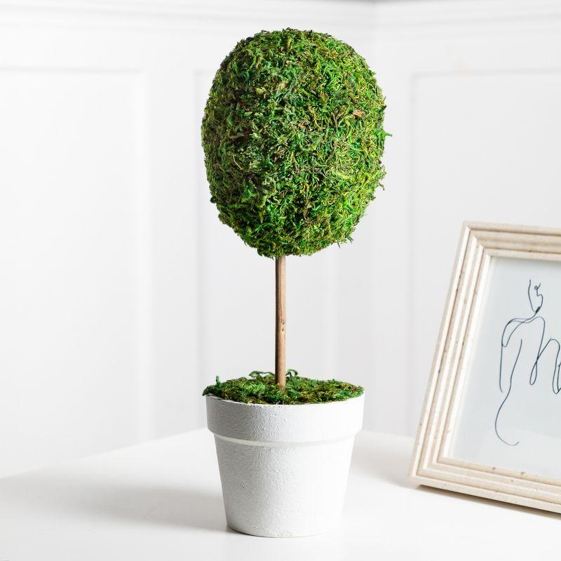 Northlight Seasonal Green Reindeer Moss Ball Potted Artificial Spring Topiary Tree
