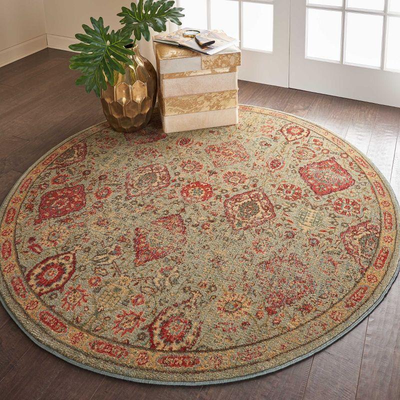 Nourison Somerset Vintage Bohemian Indoor Rug