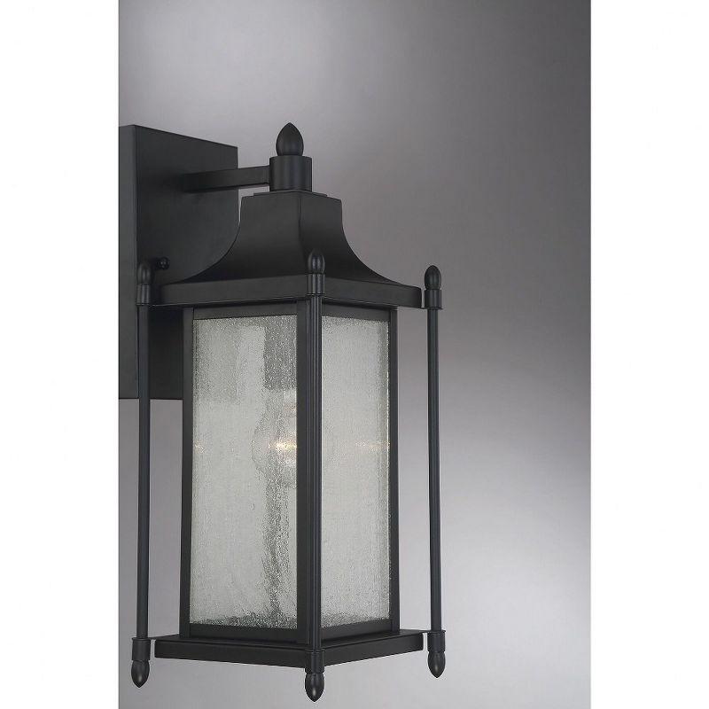 Dunnmore 1-Light Outdoor Wall Lantern in Black