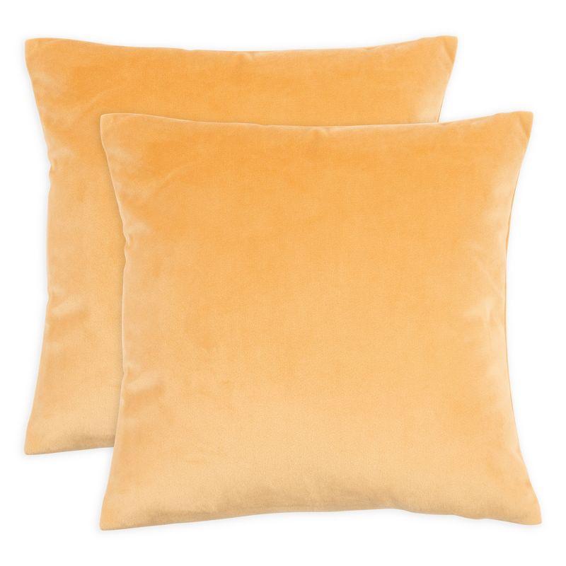 Honey Gold Velvet Euro Pillow Covers Set of 2