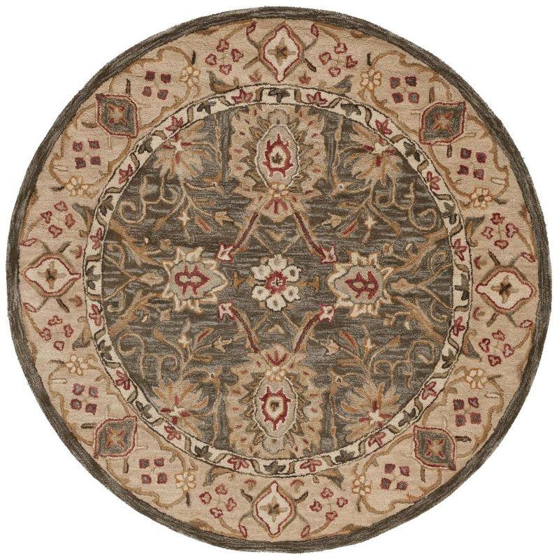 Anatolia AN516 Hand Tufted Indoor Area Rug - Brown/Ivory - 6' Round - Safavieh