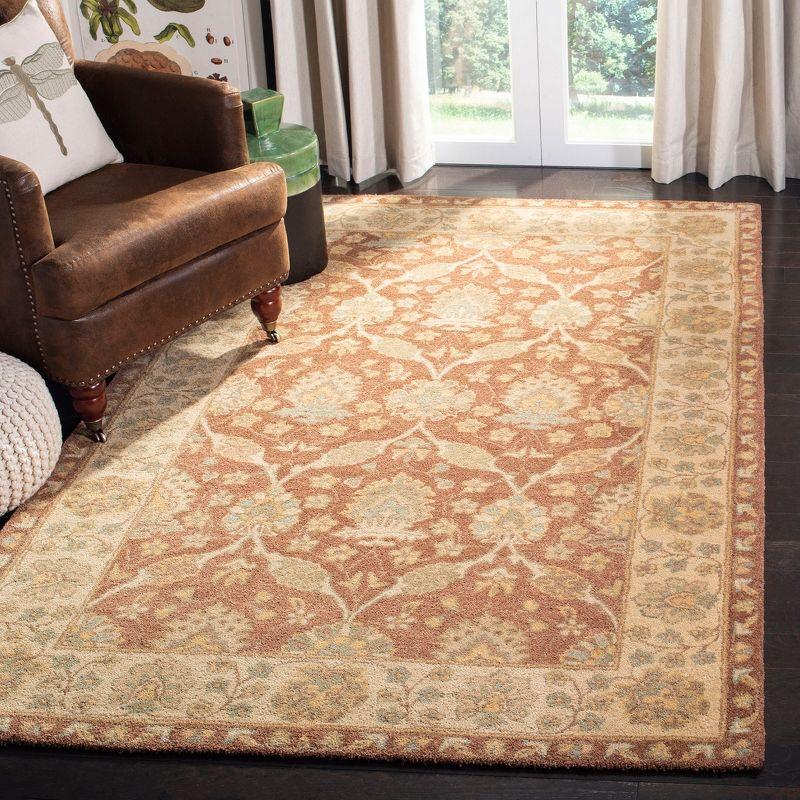 Antiquity AT315 Hand Tufted Area Rug  - Safavieh