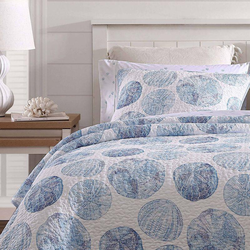 Seashell Whisper King-Size Blue Cotton Reversible Quilt Set