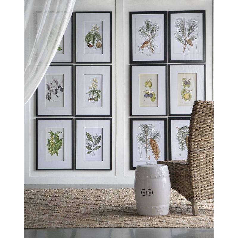 Set of 2 Smithsonian Fruit Framed Wall Arts - A&B Home: Transitional Decor, Vertical Orientation, Includes Mounting Hardware