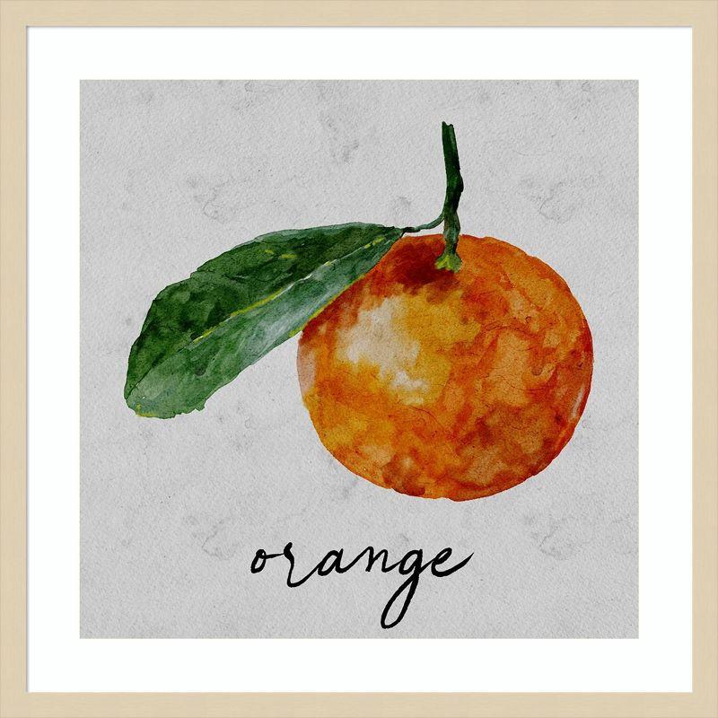 Amanti Art Summertime Citrus I by Regina Moore Framed Wall Art Print