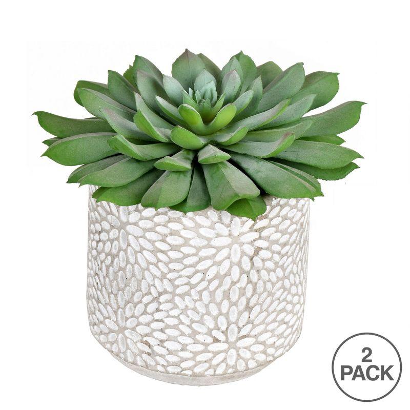 Vickerman 6" Artificial Green Potted Succulent, Pack of 2