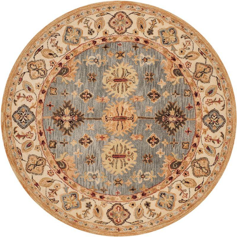 Antiquity Hand Tufted Wool Oriental Rug