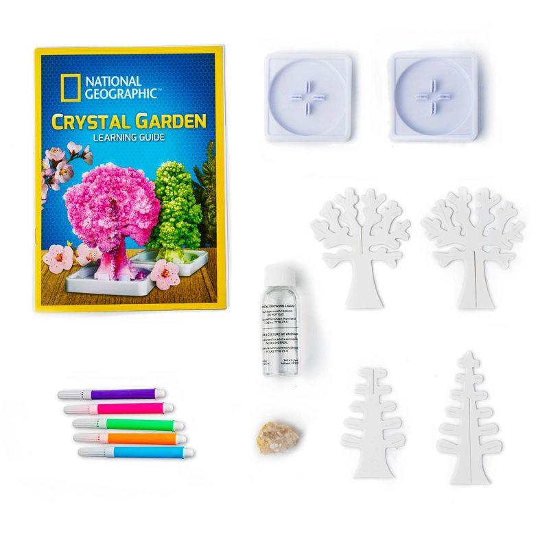 National Geographic Crystal Growing Science Kit with Geode