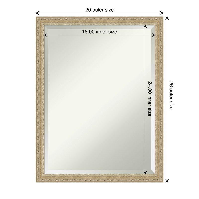 Paris Champagne Elegance 20x26 Bronze-Gold Rectangular Wall Mirror