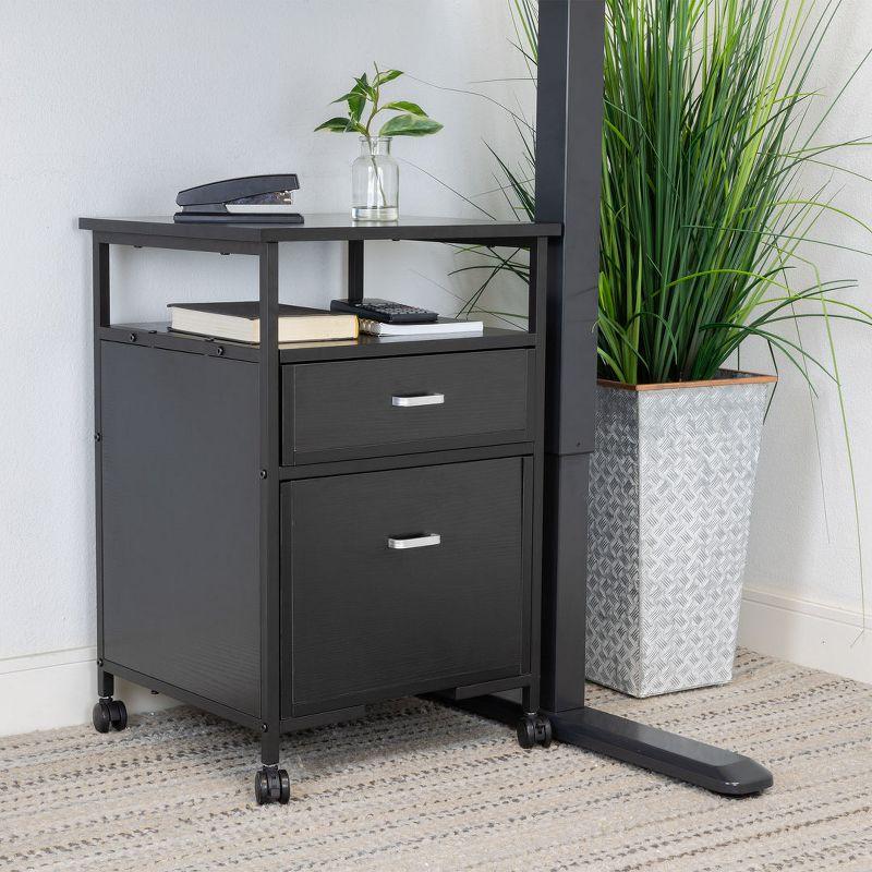 Mount-It! 2 Drawers Rolling File Cabinet, 4 Casters for Easy Mobility,  17.3" W x 16.5" D x 26.18" H, Black