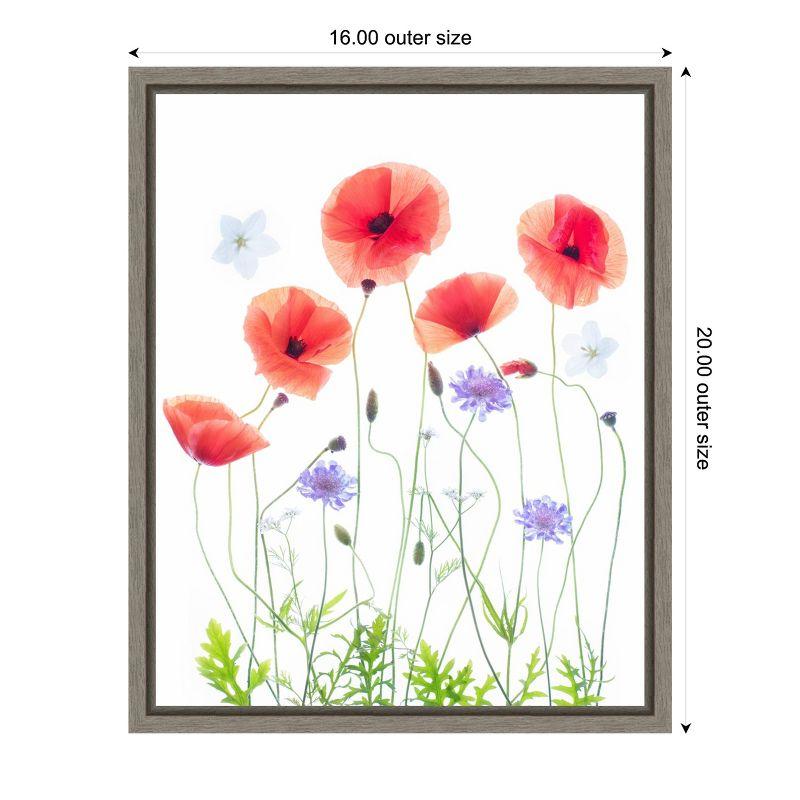 Amanti Art Poppy Garden by Sharon Williams Canvas Wall Art Print Framed 16 x 20-in.