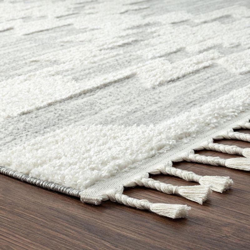 Geometric Braided Fringe 5' x 7' Gray Synthetic Area Rug