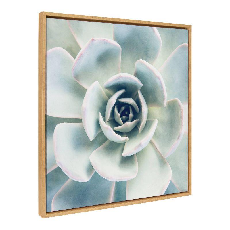 30" x 30" Sylvie Succulent 7 Framed Canvas by F2 Images Natural - Kate & Laurel All Things Decor: Wall Display, Botanical Digital Art