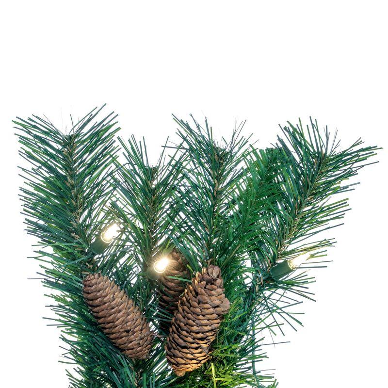 Vickerman 9' Cheyenne Artificial Christmas Garland, Warm White LED Lights